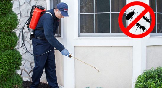 Gebze Akrep İlaçlama böcek ilaçlama ve haşere kontrolü — ilaclama-tr.com